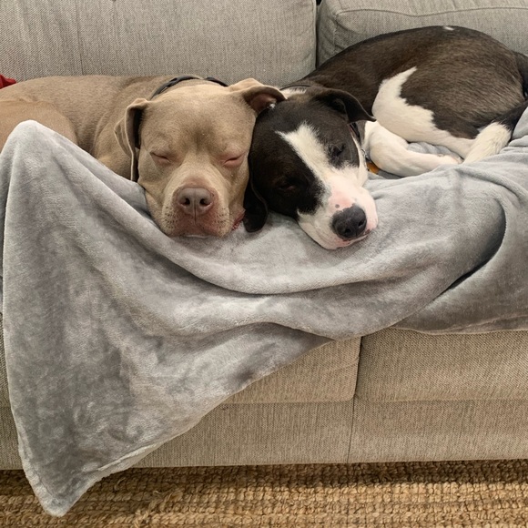 Meet your Posher, Marla - Picture 3 of 11